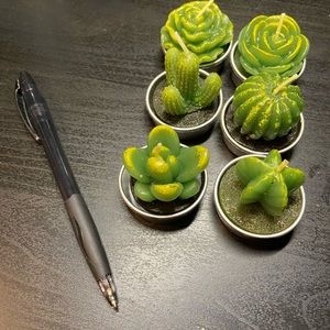 Succulent candles